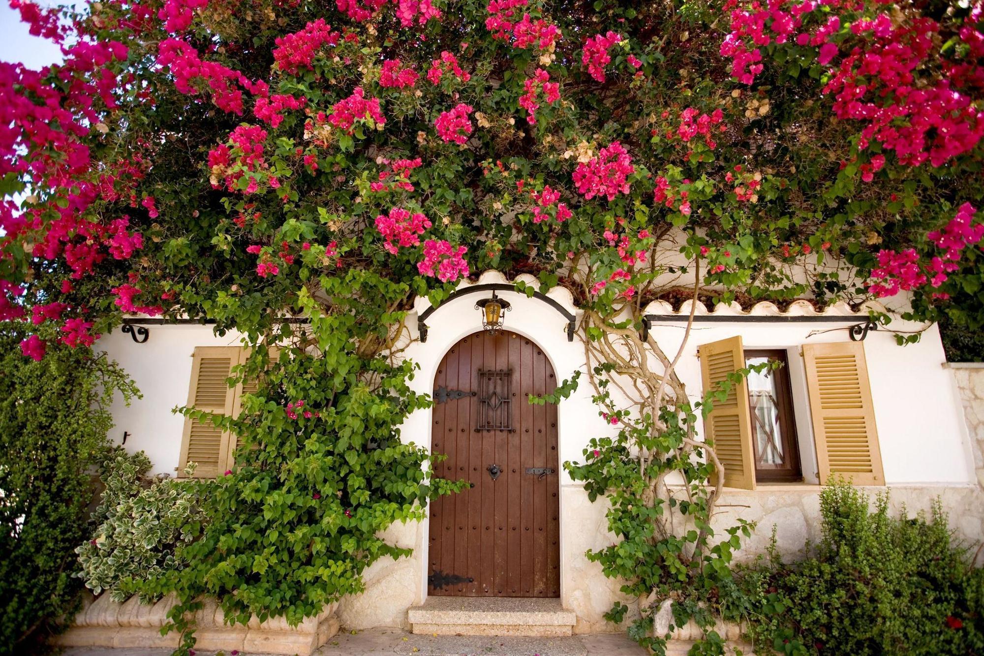 Sa Bassa Plana Guest House Cala Pi  Exterior photo
